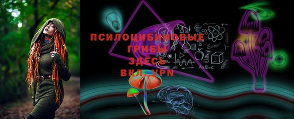 дживик Верея