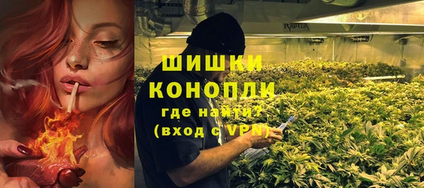 дживик Верея