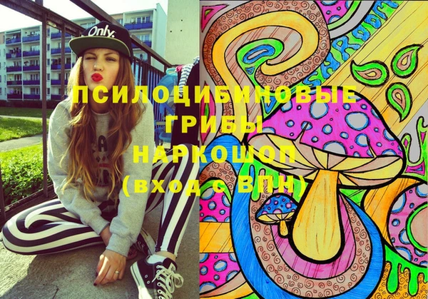 дживик Верея