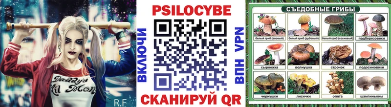Купить где  Лаишево  Псилоцибиновые грибы мицелий 